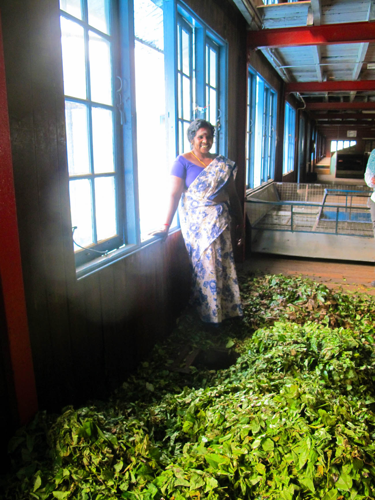 Sri Lanka sui sentieri del tè con Elena fasi produzione