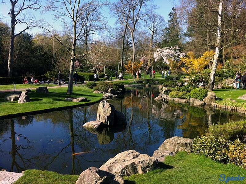 Holland Park giardino zen